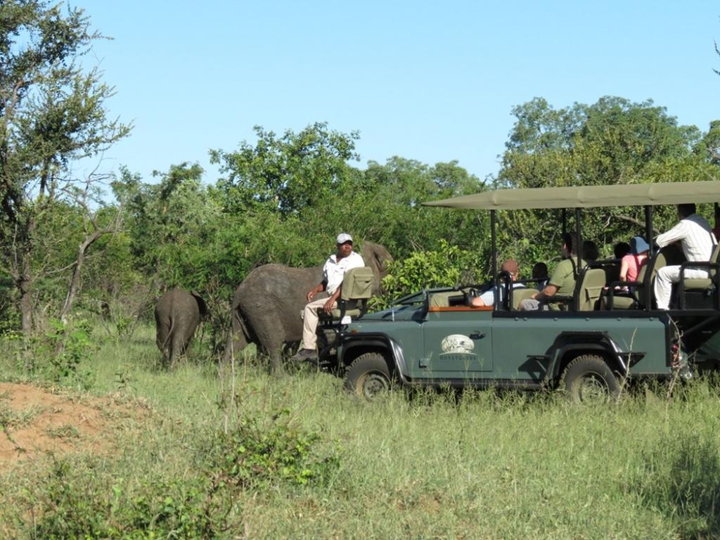 Honeyguide Tented Safari Camp - Khoka Moya Резерват Манйелети Екстериор снимка
