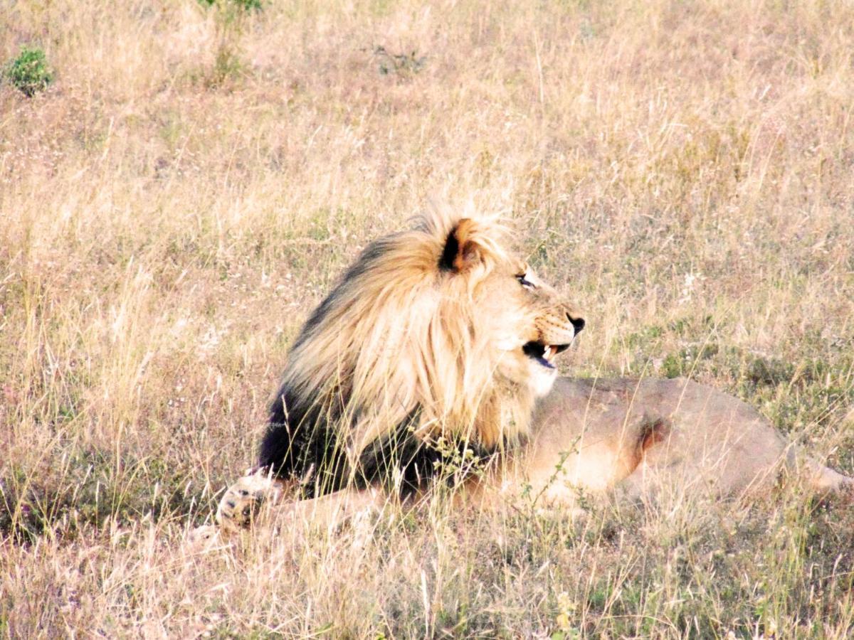 Honeyguide Tented Safari Camp - Khoka Moya Резерват Манйелети Екстериор снимка