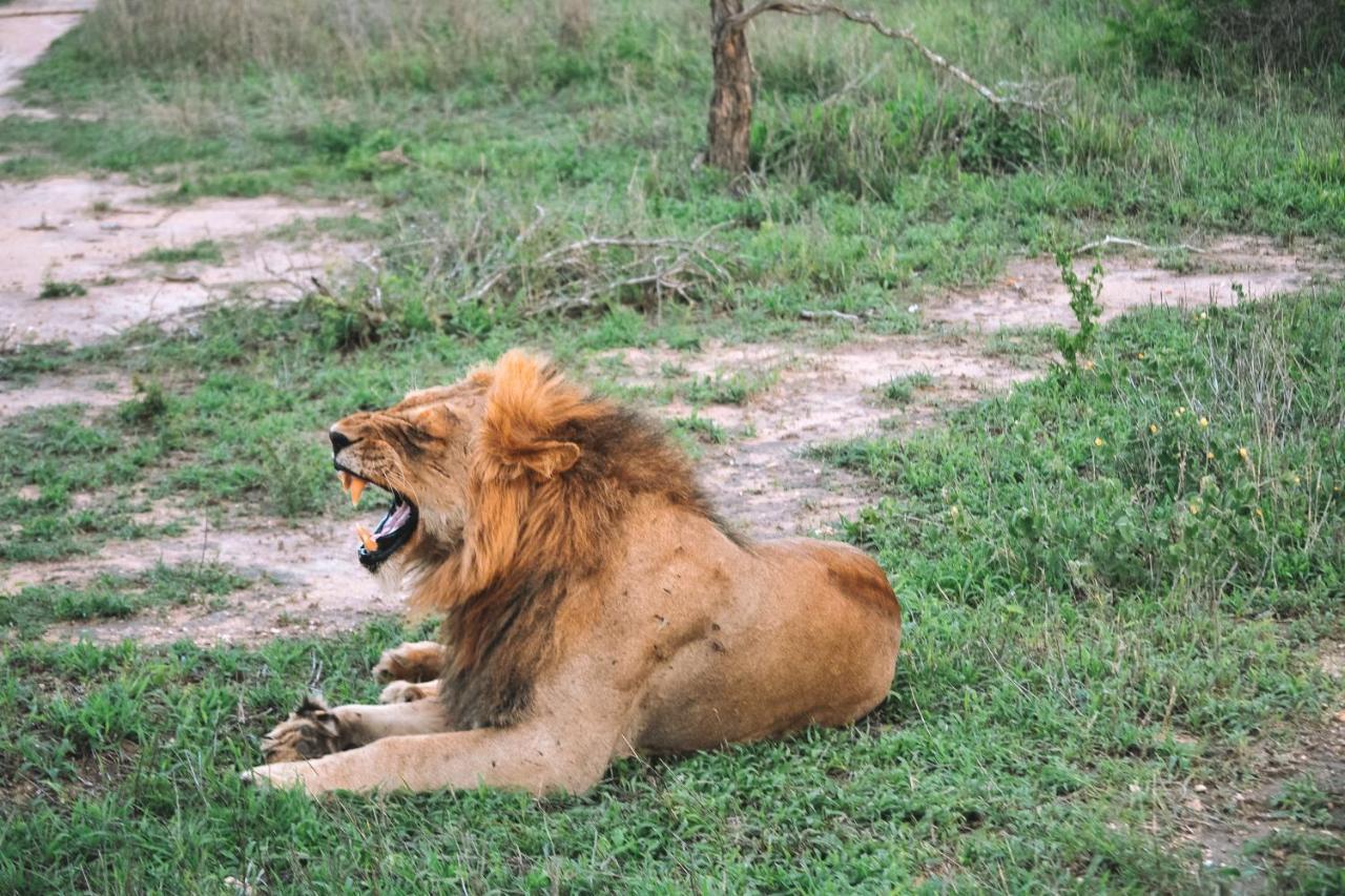 Honeyguide Tented Safari Camp - Khoka Moya Резерват Манйелети Екстериор снимка